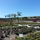 Evergreen Nursery