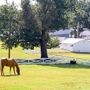 Graceland Mansion