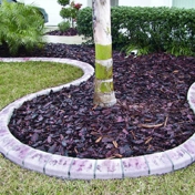 Gallery Image Number 5