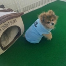 The Woof Dog Day care & Boarding - Pet Services