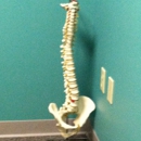 Middle Tennessee Clinic of Chiropractic - Chiropractors & Chiropractic Services
