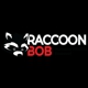 Raccoon Bob