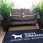 Suite Dreams Luxury Dog Boarding
