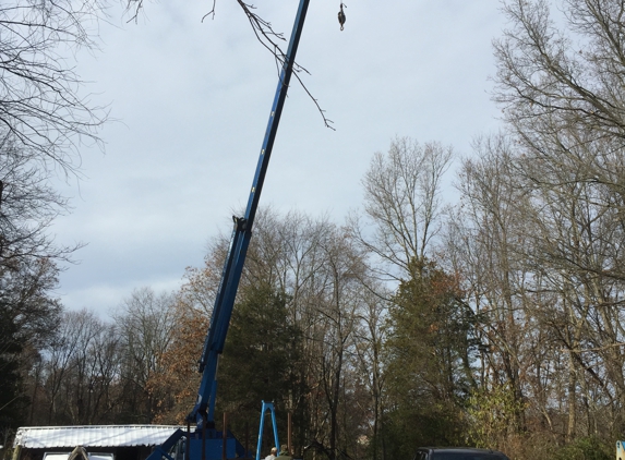 Russell Tree Service - Pinckney, MI