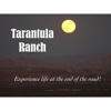 Tarantula Ranch gallery