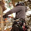 Tree Removal Kirkland - Tree Service