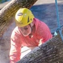 Jackson Tree Service - Arborists