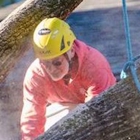 Jackson Tree Service