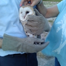 Palmdale Veterinary Hospital - Physicians & Surgeons