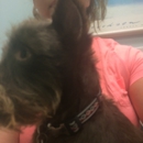 Barry Veterinary Hospital - Veterinary Clinics & Hospitals