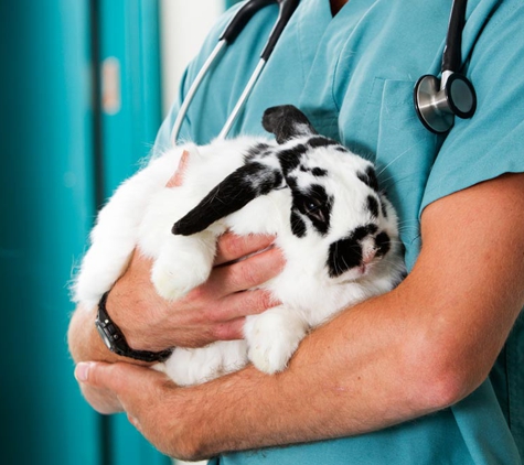 Laverton Veterinary Clinic. We Will Care For Your Pet Like It Is Part Of Our Own Family