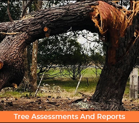 Rob Jamieson Tree & Stump Removal - Colac East, VIC. Tree Assessments And Reports