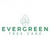 Evergreen Tree Care gallery