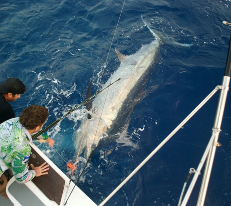 All The Gear No Idea Sportfishing - Exmouth, WA