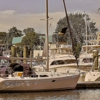 Huguenot Yacht Club gallery