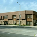 American Professional Service - Insurance