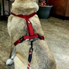 Stone Ridge Veterinary Medical Center gallery