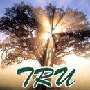 Trees "R" Us, Inc. - Arborists