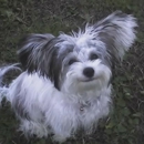 Cedar Bay Veterinary Clinic - Veterinarians
