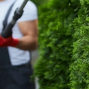P.J.R Landscaping & Tree Service Corp - Tree Service