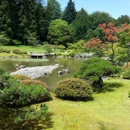 Seattle Japanese Garden - Botanical Gardens