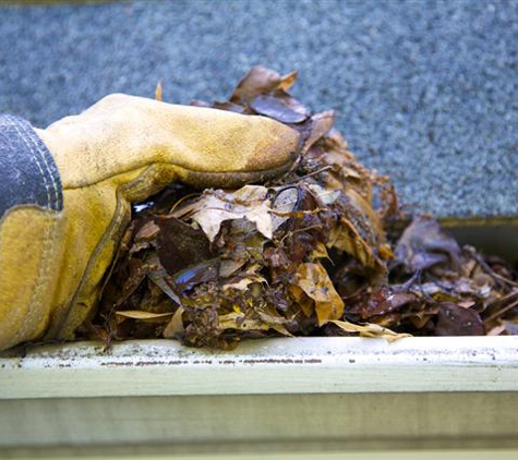 Queensland Quality Cleaning and Pest Management - Narangba, QLD