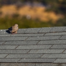 Hermitage Roofing Co - Roofing Contractors