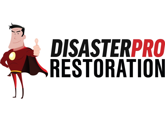 Disaster Pro Restoration - Thonotosassa, FL
