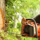 Almighty Lawn & Tree Care - Landscape Designers & Consultants