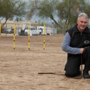 Partners Dog Training School - Animal Shelters