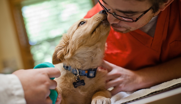 Aspen Grove Veterinary Care - Fort Collins, CO