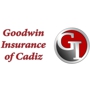 Goodwin Insurance Agency Of Cadiz