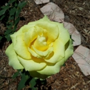 Nature Coast Botanical Gardens & Nursery - Botanical Gardens