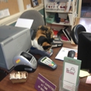 All Cats Care Center - Veterinary Clinics & Hospitals