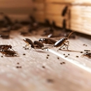 Bug Runner Exterminating Co - Pest Control Equipment & Supplies