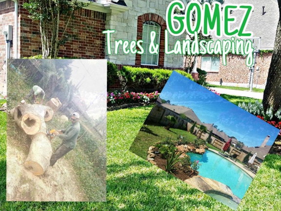 Gomez Trees & Landscaping. #GomezTrees&Landscaping