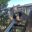 Benchmark Home Elevator Inc - Elevators