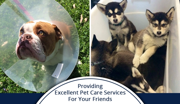Westlakes Veterinary Hospital - Fennell Bay, NSW. We have a fantastic team of nurses and groomers who all aspire to give 100% each and every time you visit.
