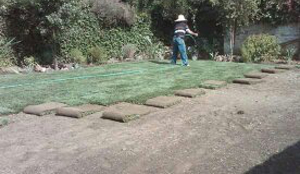 THE VALLEY SOD FARM INC - North Hills, CA