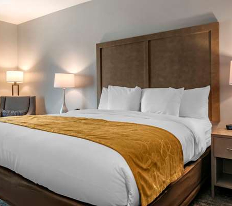 Comfort Inn & Suites Jacksonville - Orange Park Near Naval Air Station - Jacksonville, FL