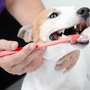 Mobile Dog Grooming of Simi Valley Thousand Oaks