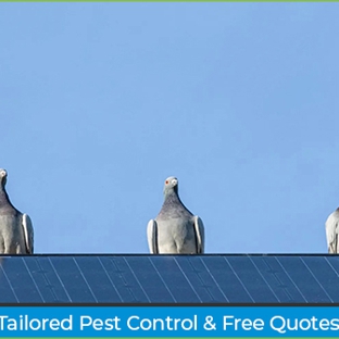 All Pest Solutions - Whiteside, QLD. Tailored Pest Control & Free Quotes