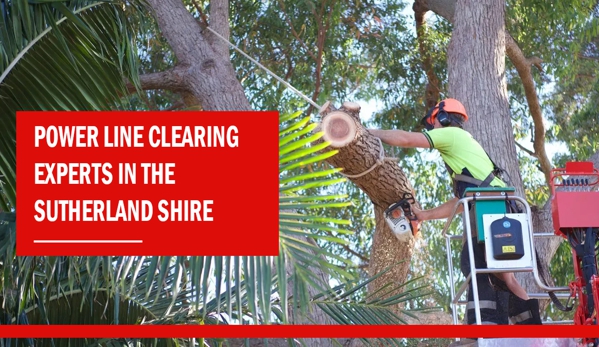 Bob and Ben the Tree Men - Kirrawee, NSW. Power Line Clearing Experts in the Sutherland Shire.
