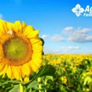 AgCountry Farm Credit Services - Financing Services
