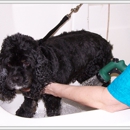 Perfect Paws Pet Salon - Pet Grooming