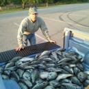 Mister Bass