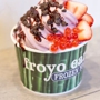 Froyo Earth