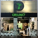 Cariloha - Men's Clothing Wholesalers & Manufacturers