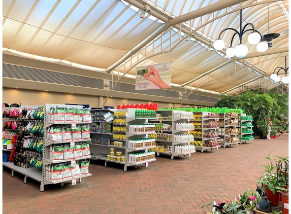 Virginia Nursery Pty Ltd - Virginia, SA