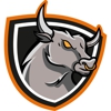 Iron Bull Roofing gallery